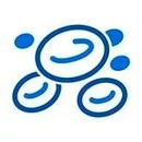 سرطان الدم